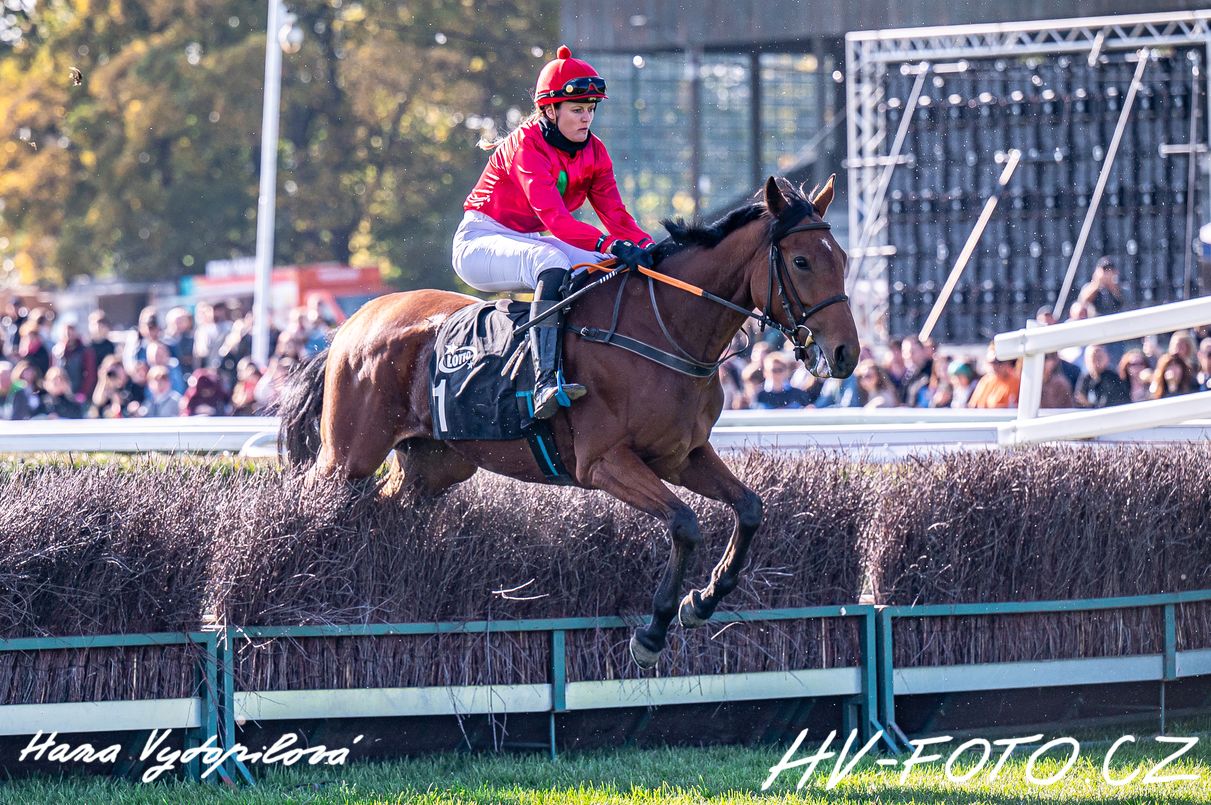 DSC_2019 kopie.jpg